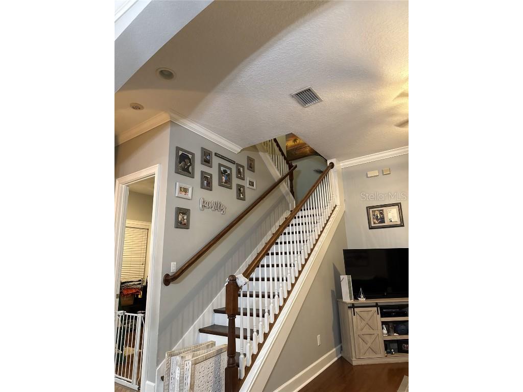 6519 Simone Shores Circle Apollo Beach FL 33572 TB8326067 image10