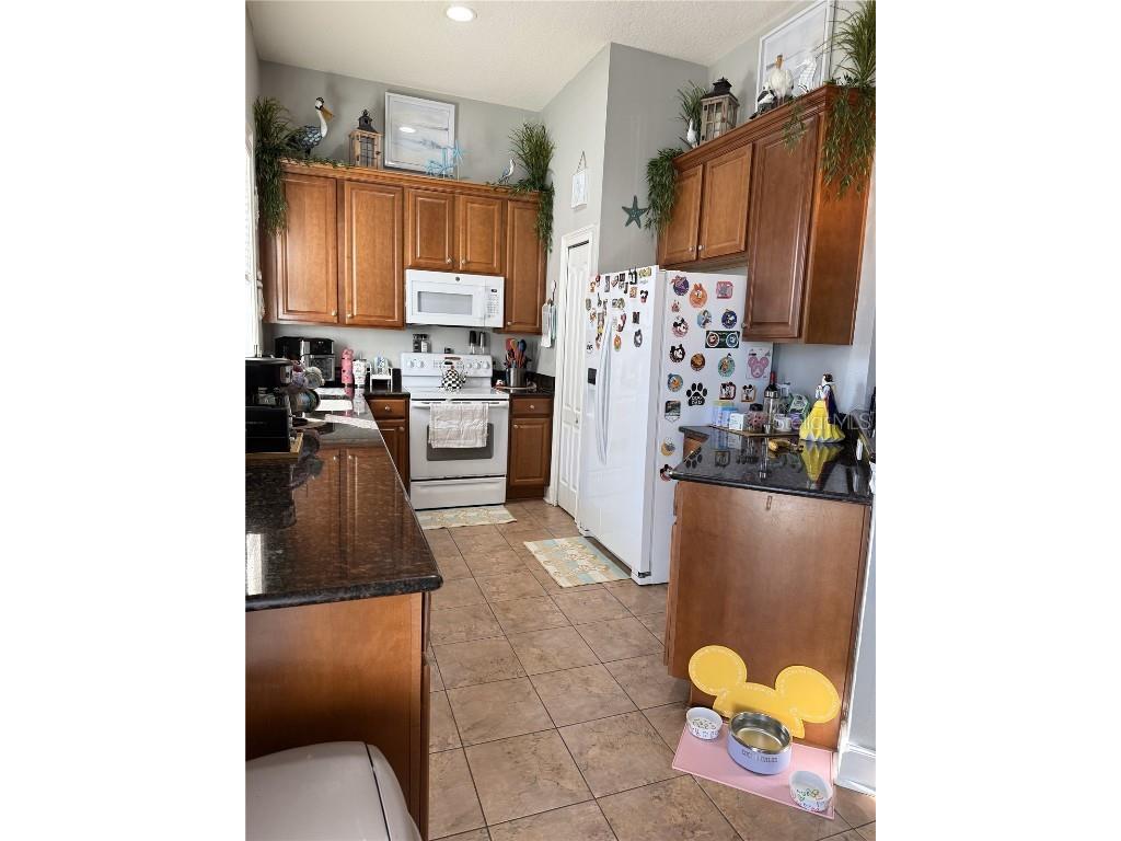 6519 Simone Shores Circle Apollo Beach FL 33572 TB8326067 image16