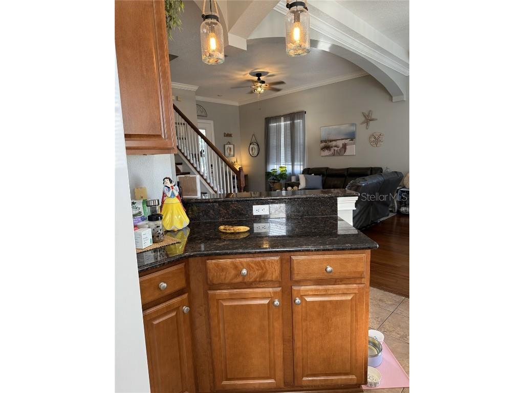 6519 Simone Shores Circle Apollo Beach FL 33572 TB8326067 image20