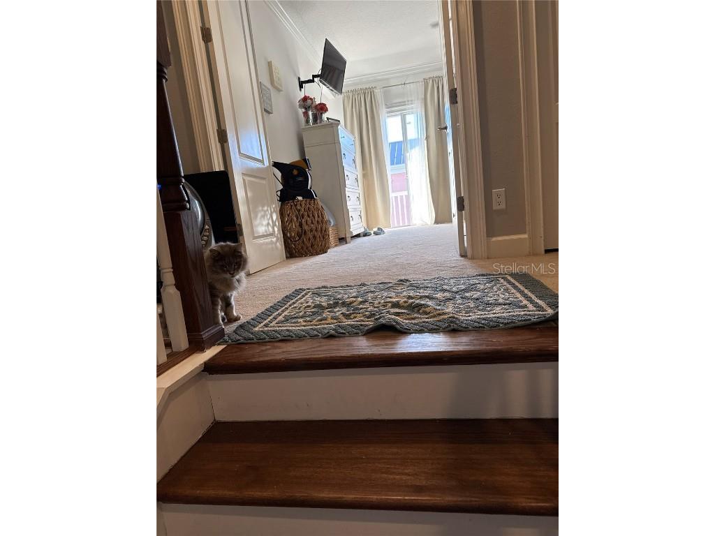 6519 Simone Shores Circle Apollo Beach FL 33572 TB8326067 image23