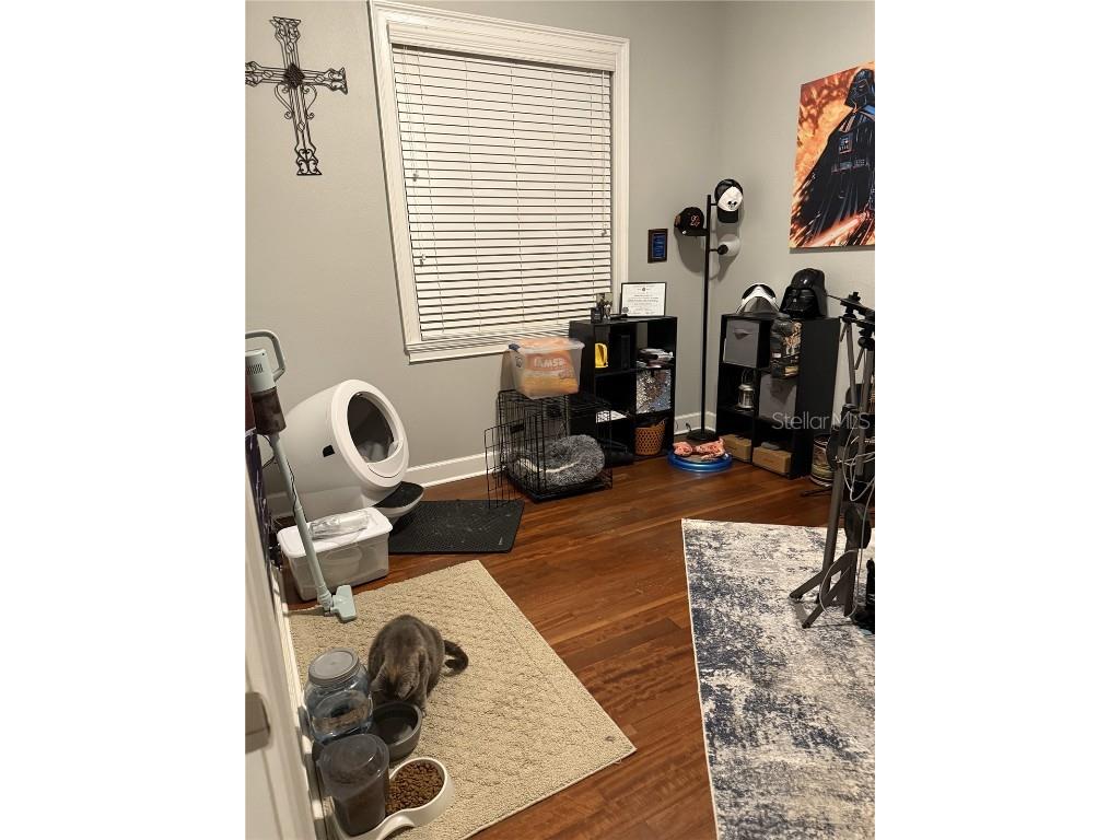 6519 Simone Shores Circle Apollo Beach FL 33572 TB8326067 image28