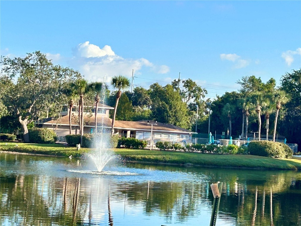 6519 Spring Flower Drive #21 New Port Richey FL 34653 W7879893 image1