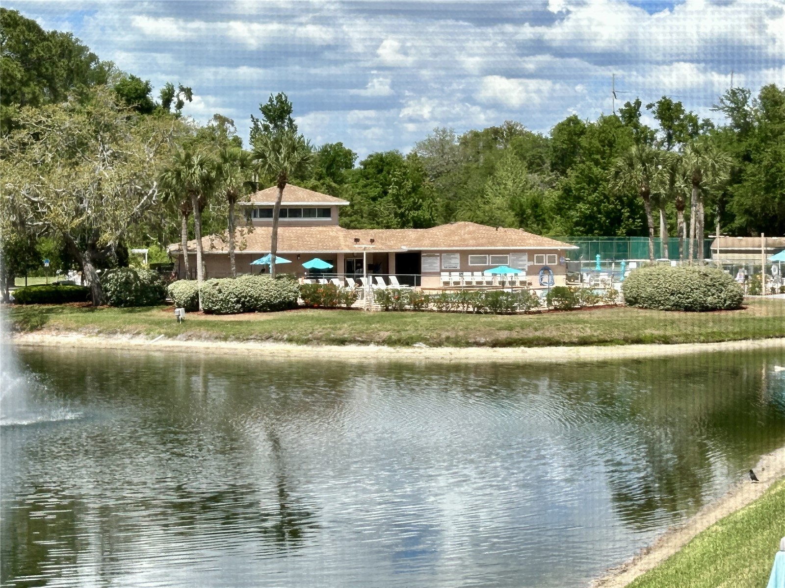 6519 Spring Flower Drive #24 New Port Richey FL 34653 W7884496 image15