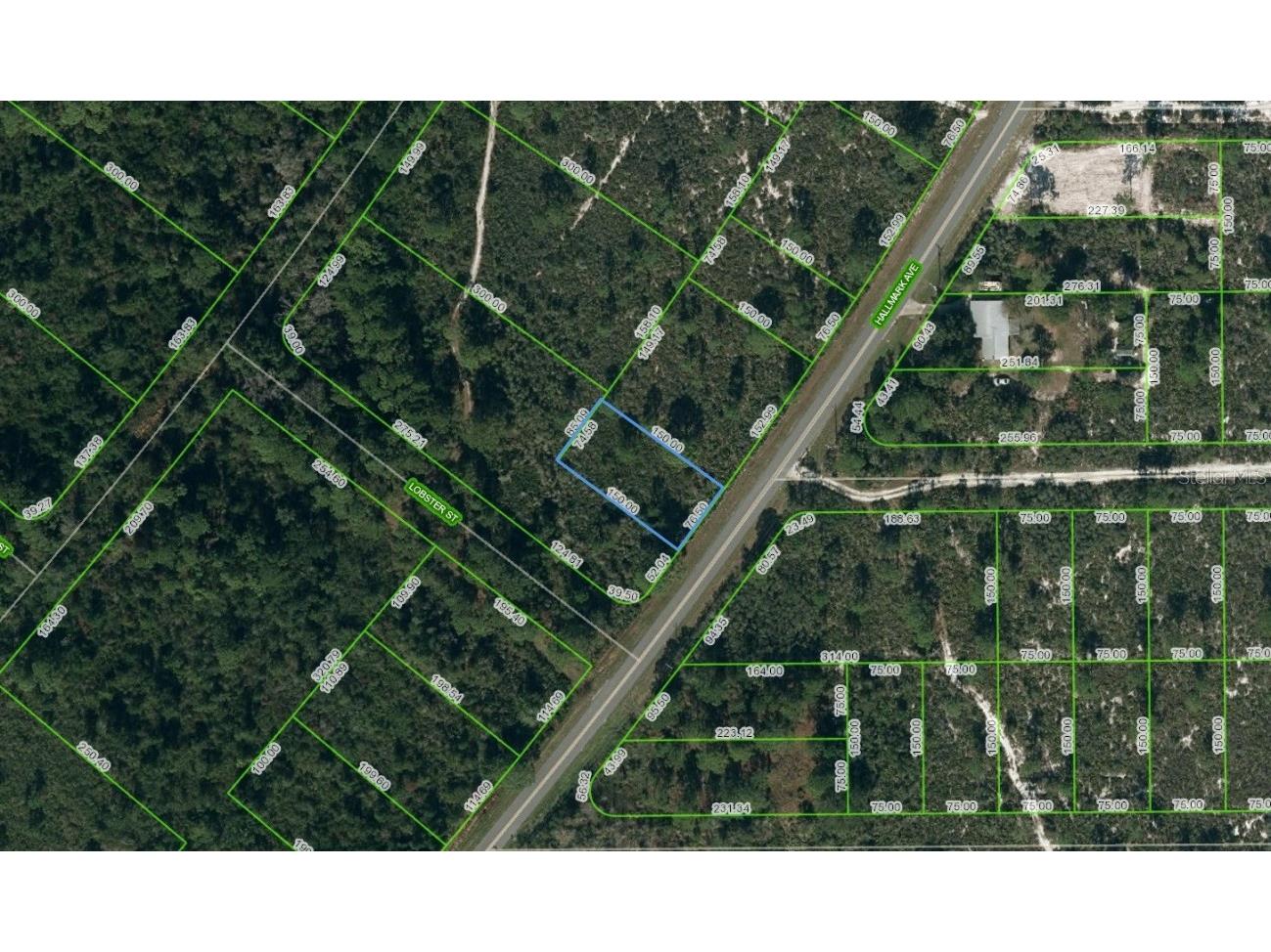 652 Hallmark Avenue Lake Placid FL 33852 C7477386 image1