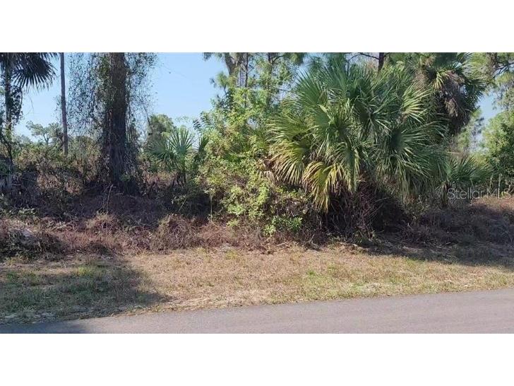 652 Naples Avenue S Lehigh Acres FL 33974 C7475482 image1