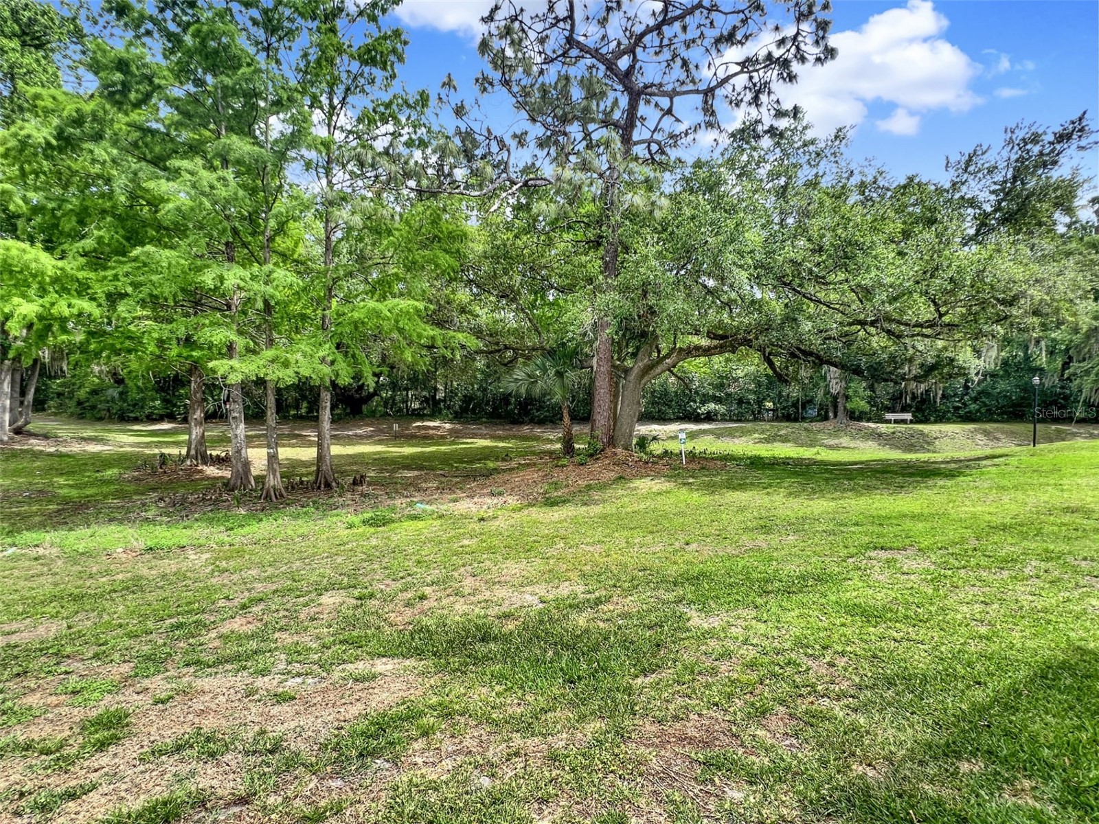 652 Roaring Drive #230 Altamonte Springs FL 32714 O6401190 image29