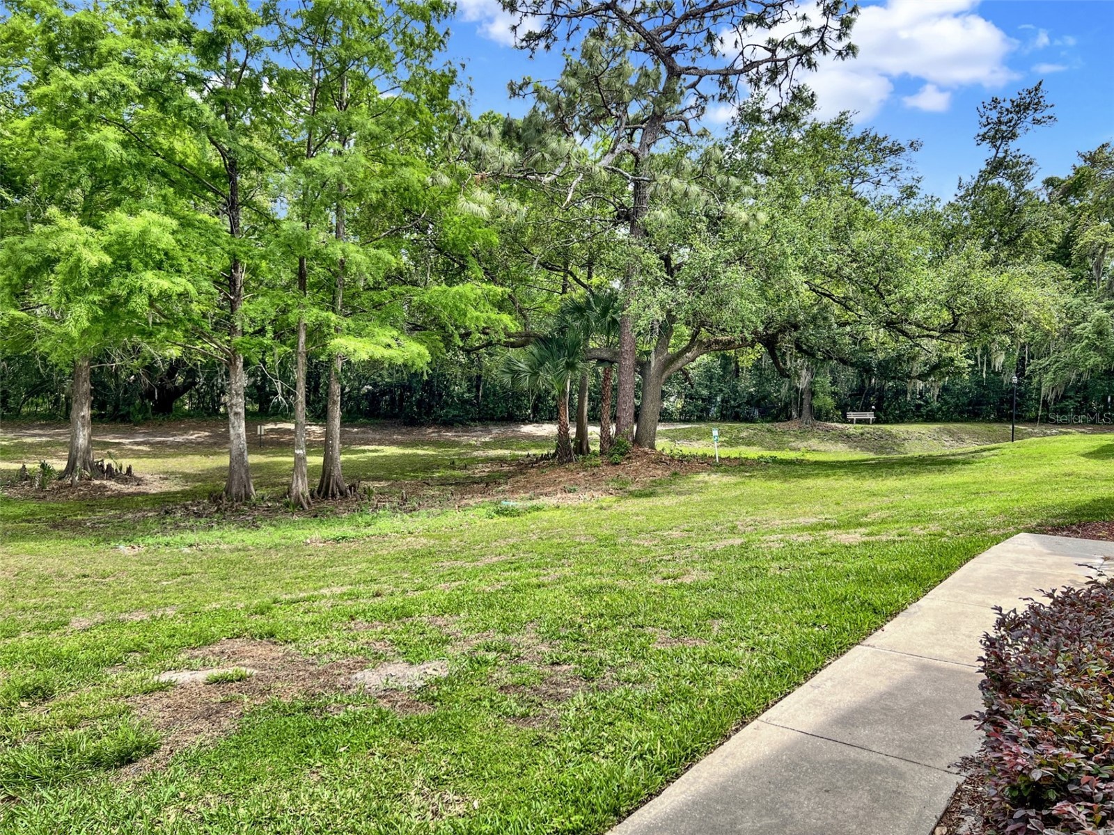 652 Roaring Drive #230 Altamonte Springs FL 32714 O6401190 image30