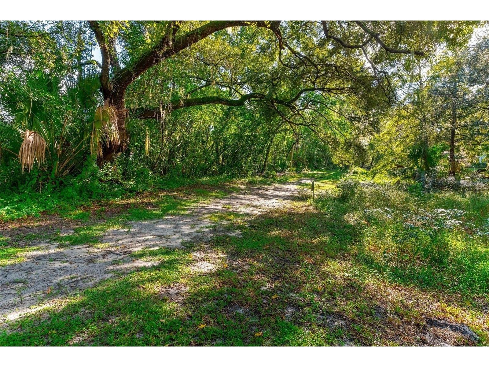 652 Roaring Drive #230 Altamonte Springs FL 32714 O6401190 image34