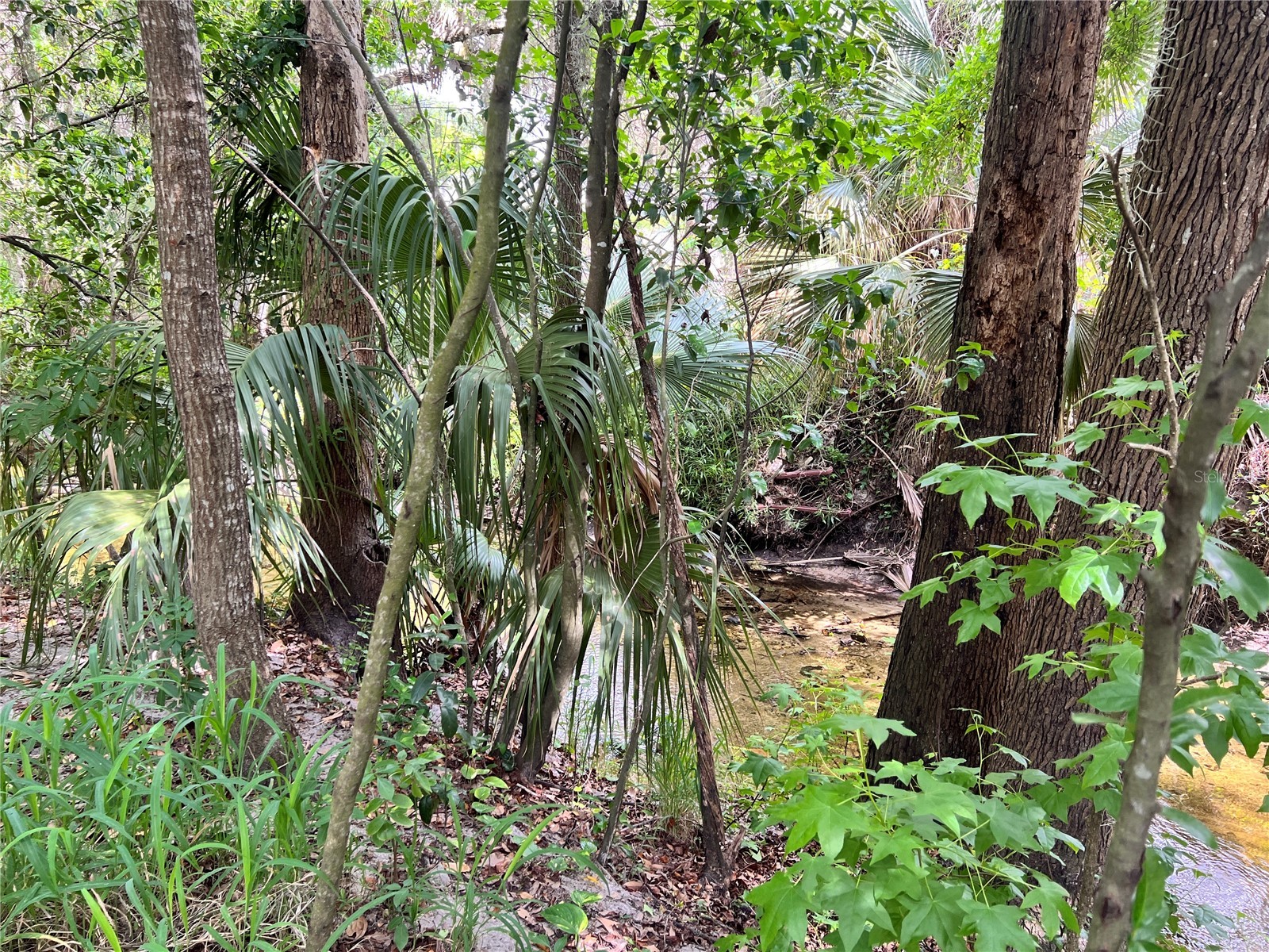 652 Roaring Drive #230 Altamonte Springs FL 32714 O6401190 image35