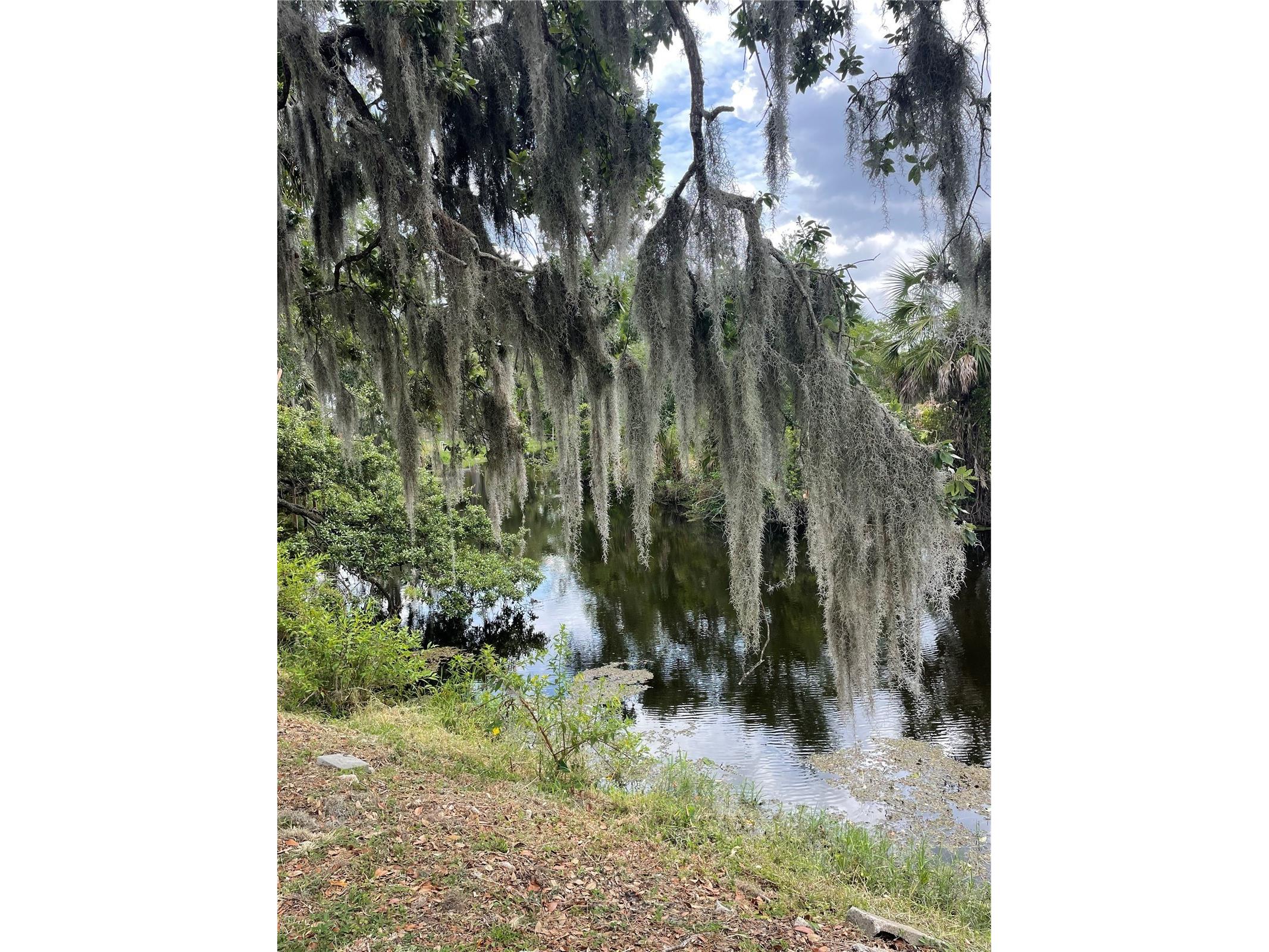 6520 Quonset Road Bradenton FL 34203 A4681216 image3