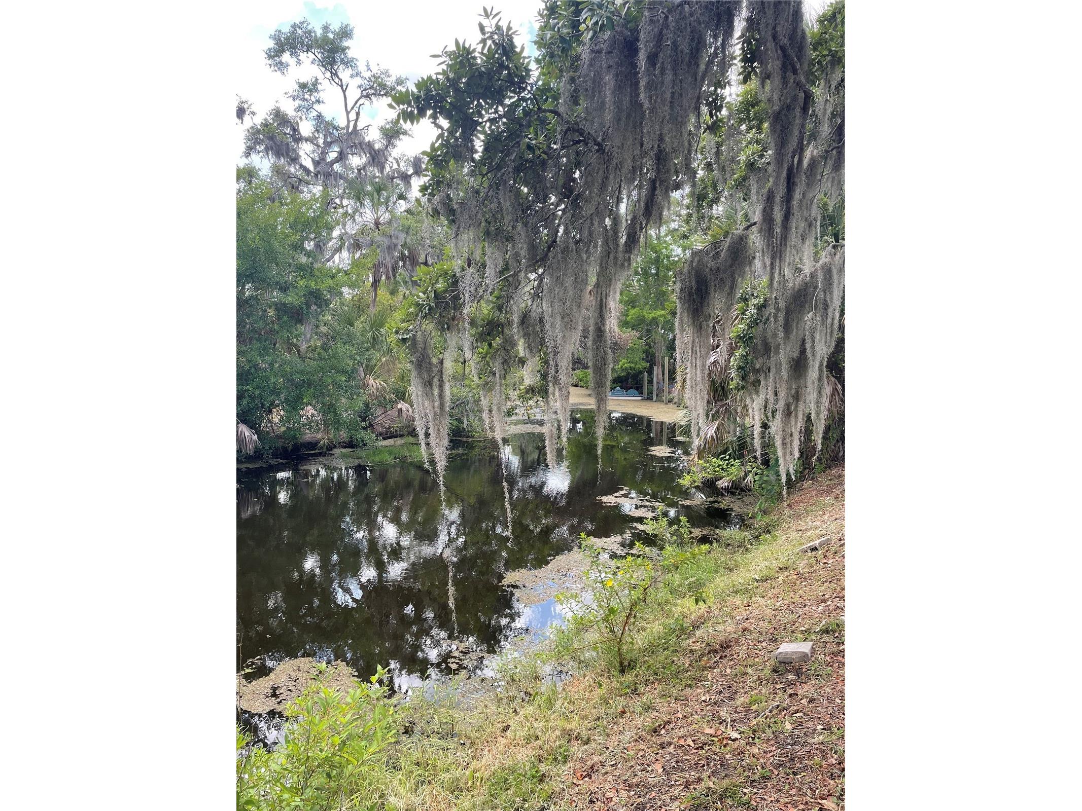 6520 Quonset Road Bradenton FL 34203 A4681216 image32