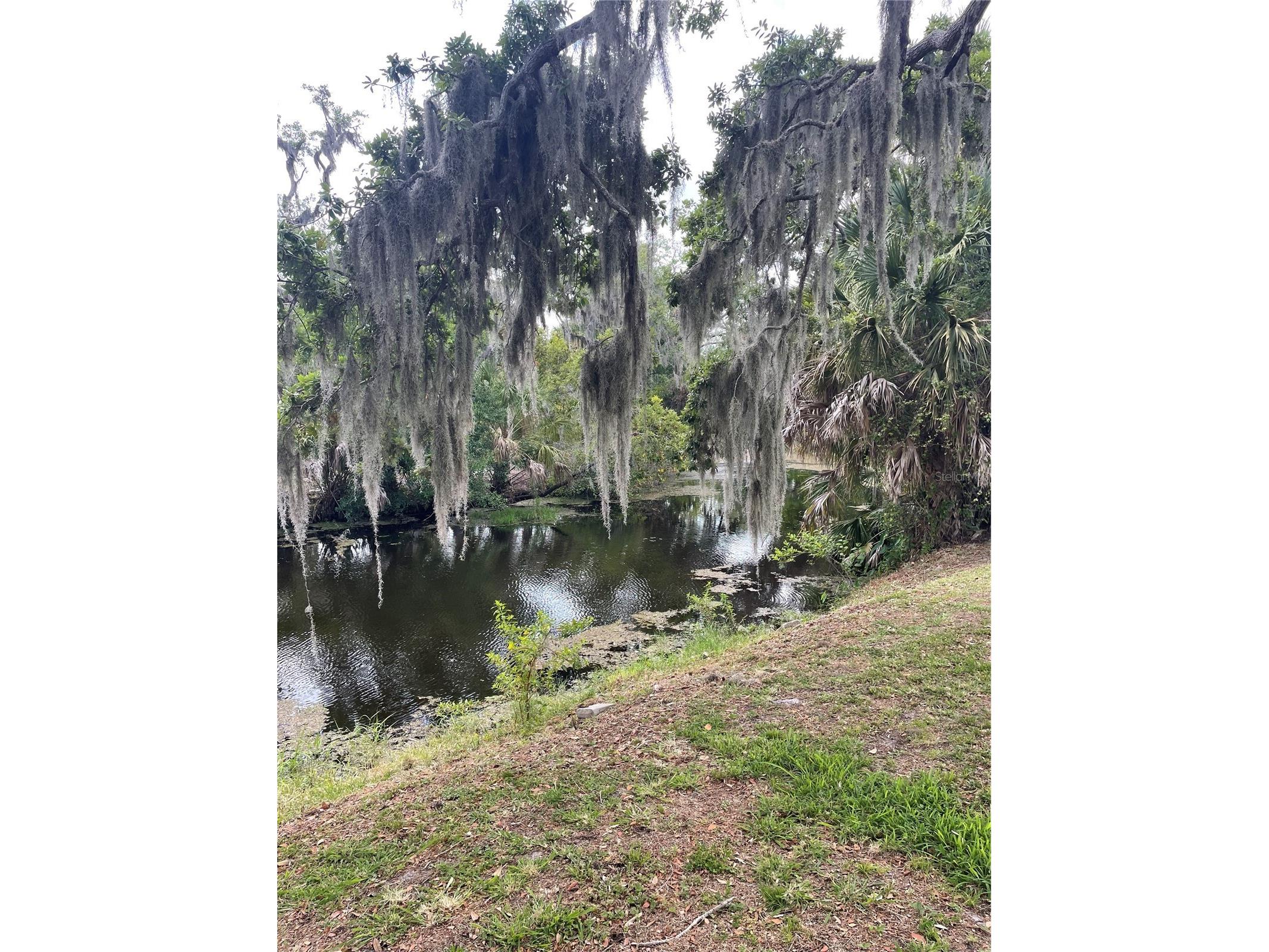 6520 Quonset Road Bradenton FL 34203 A4681216 image34