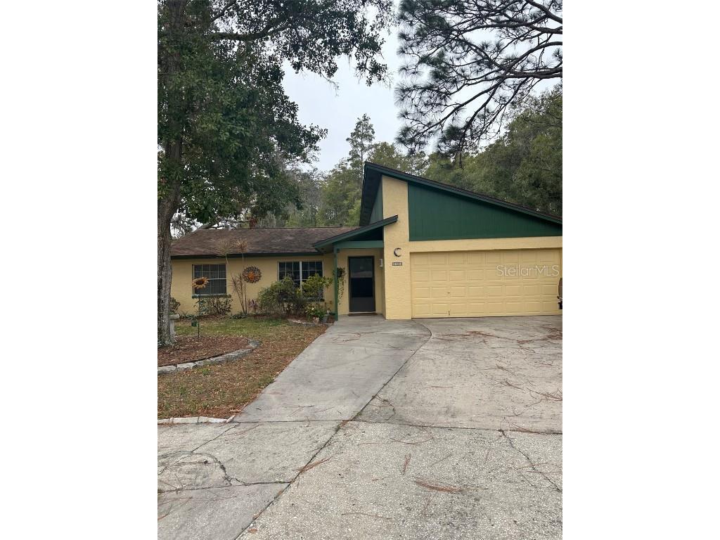 6520 Secrest Court Tampa FL 33625 T3486138 image1
