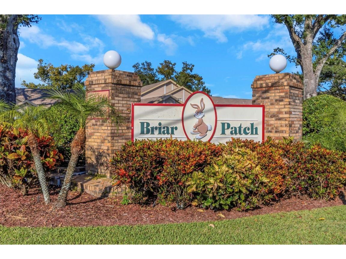 6520 Thicket Trail New Port Richey FL 34653 W7880475 image37