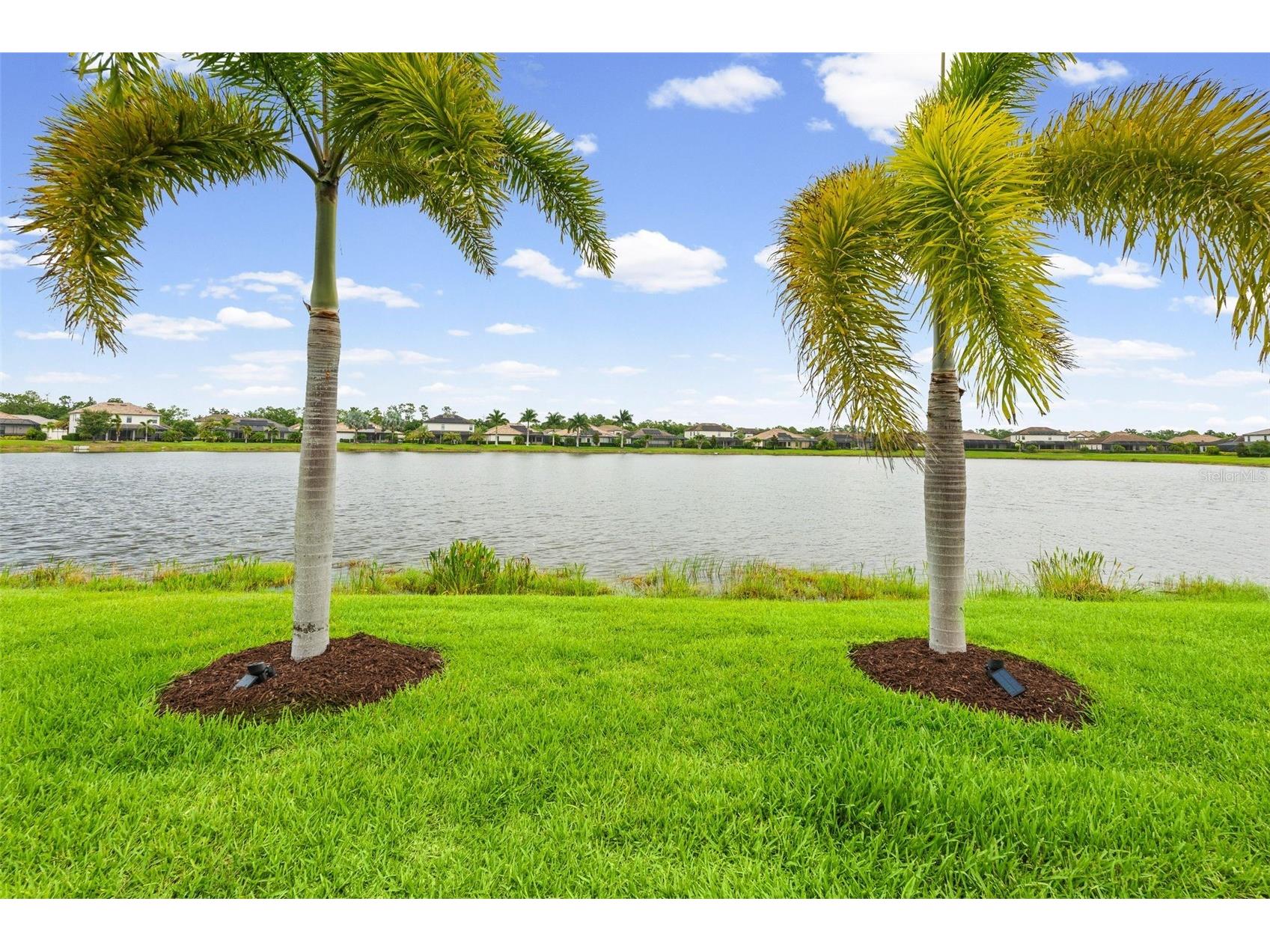 6522 Rosehill Farm Run Bradenton FL 34211 A4695464 image66