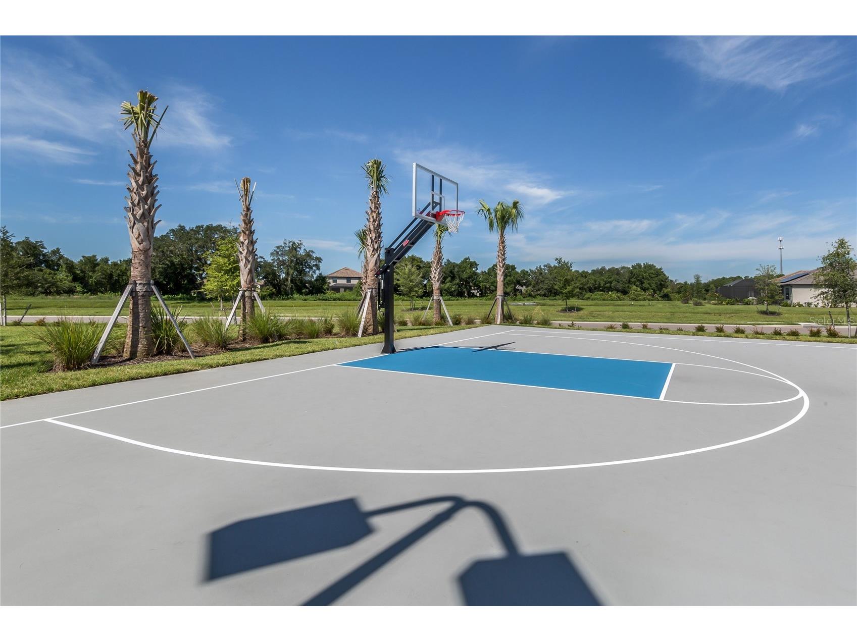 6522 Rosehill Farm Run Bradenton FL 34211 A4695464 image88