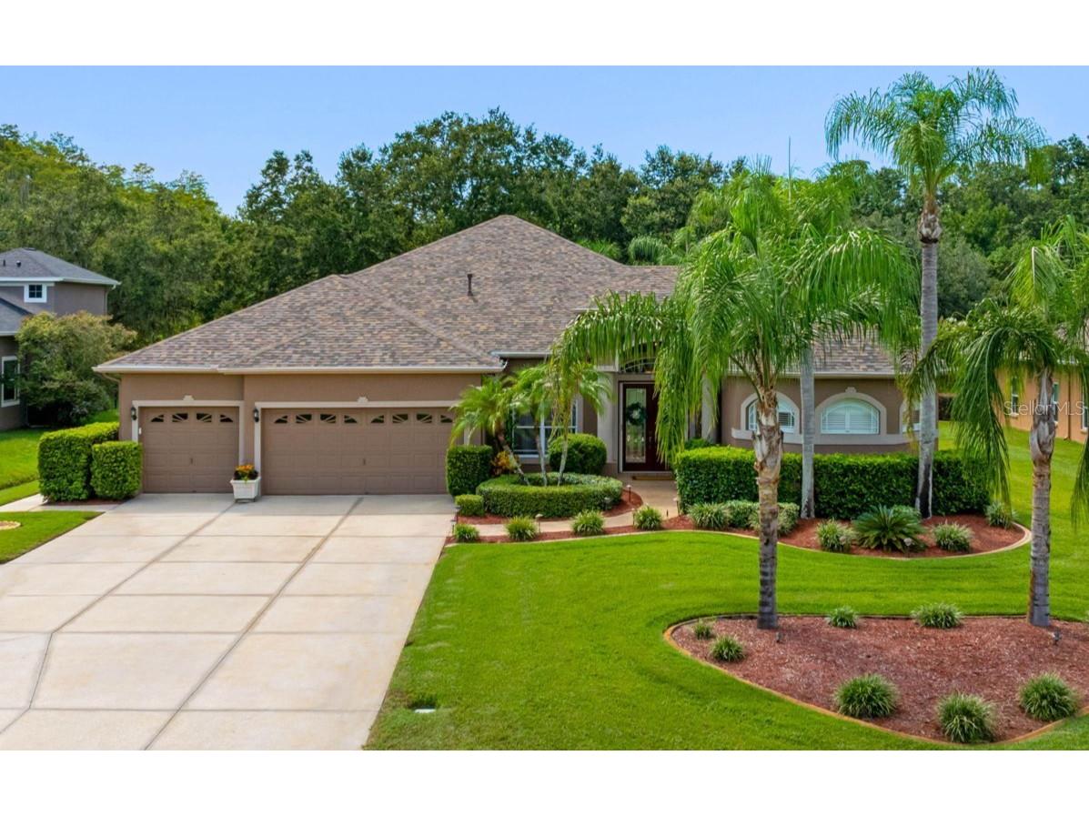 6523 Alcester Drive New Port Richey FL 34655 TB8420602 image1