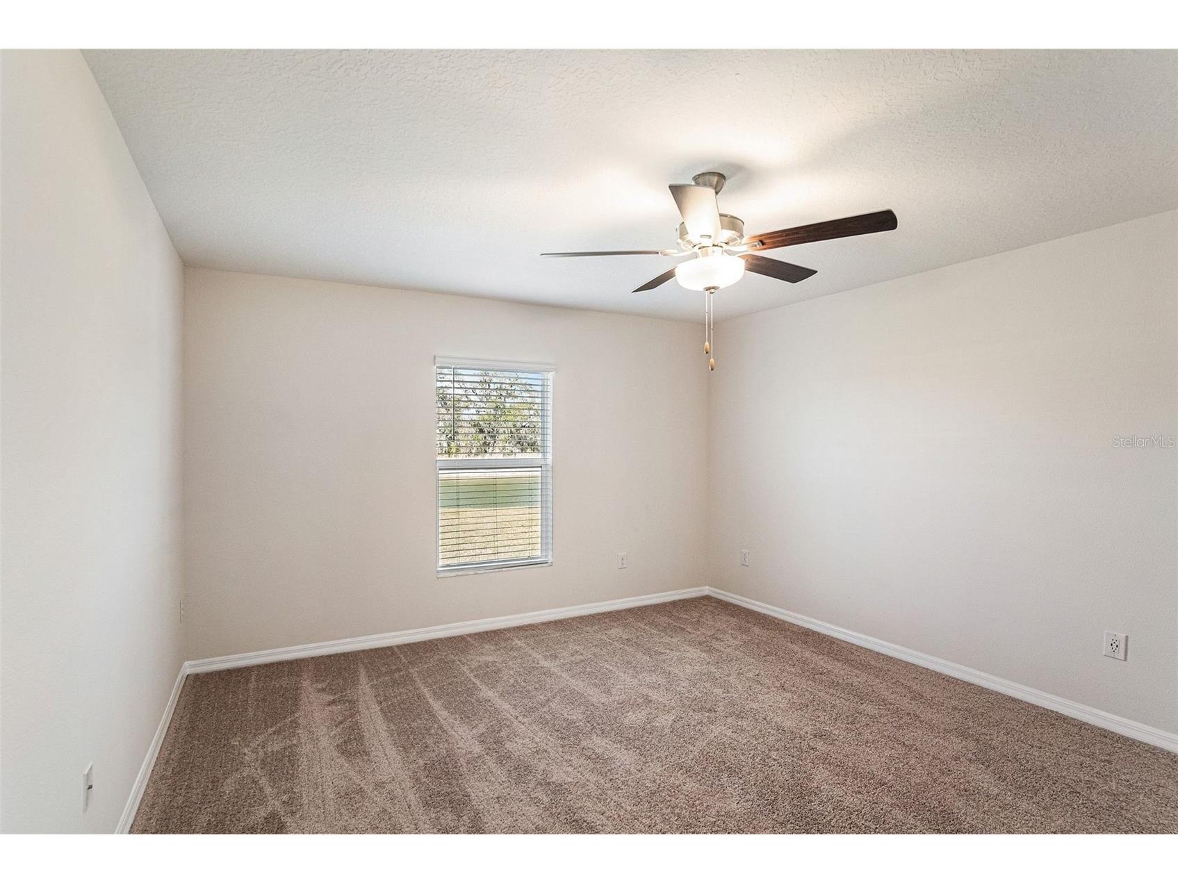 6523 Bar S Bar Trail Zephyrhills FL 33541 TB8478495 image17