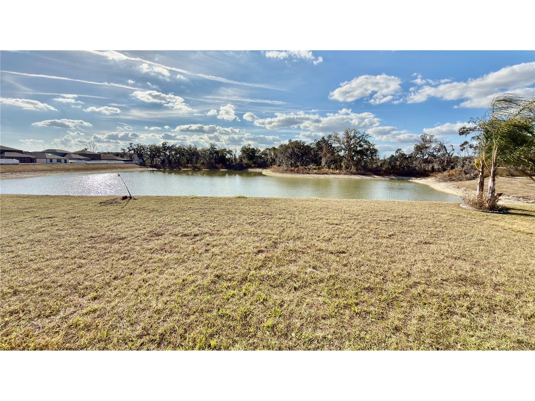 6523 Bar S Bar Trail Zephyrhills FL 33541 TB8478495 image36