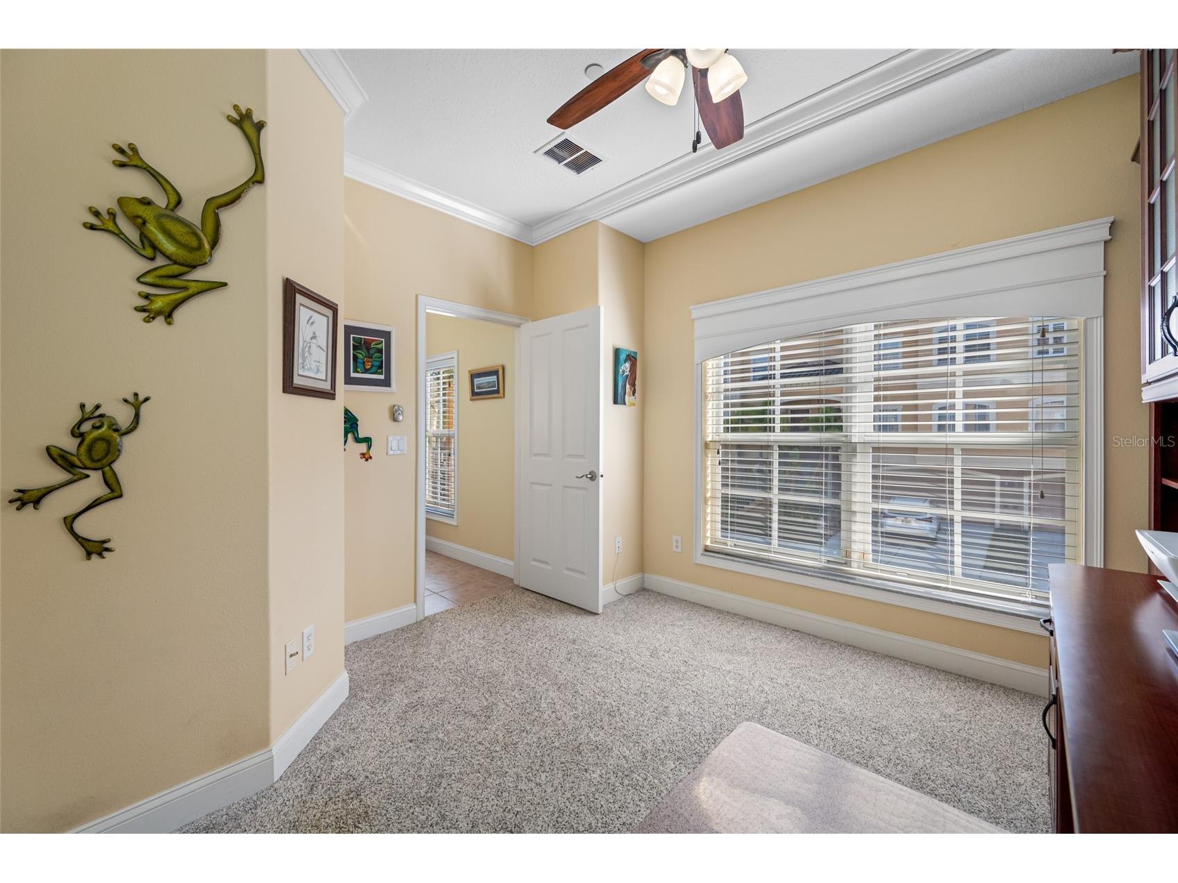 6523 Sand Shore Lane New Port Richey FL 34652 TB8457637 image10
