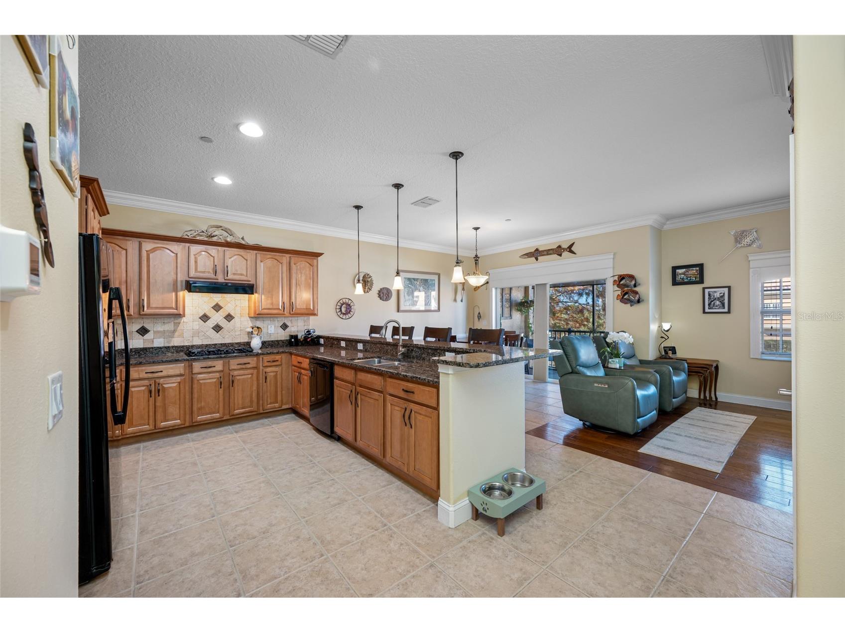 6523 Sand Shore Lane New Port Richey FL 34652 TB8457637 image14