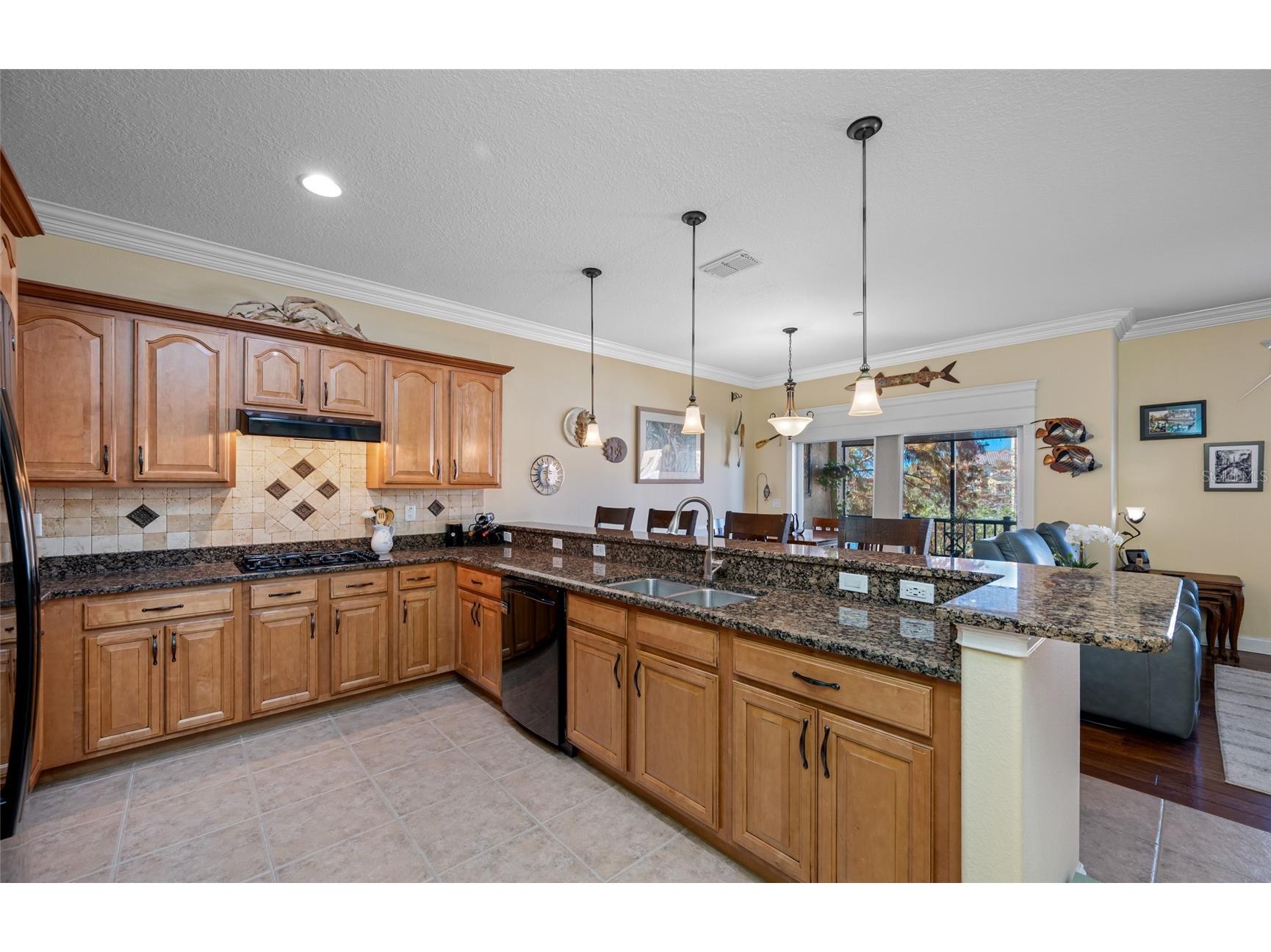 6523 Sand Shore Lane New Port Richey FL 34652 TB8457637 image15
