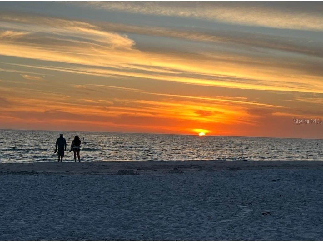 6524 6th Avenue N Saint Petersburg FL 33710 TB8332642 image47