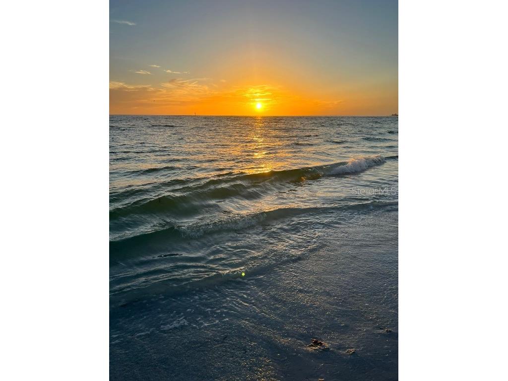 6524 6th Avenue N Saint Petersburg FL 33710 TB8332642 image49