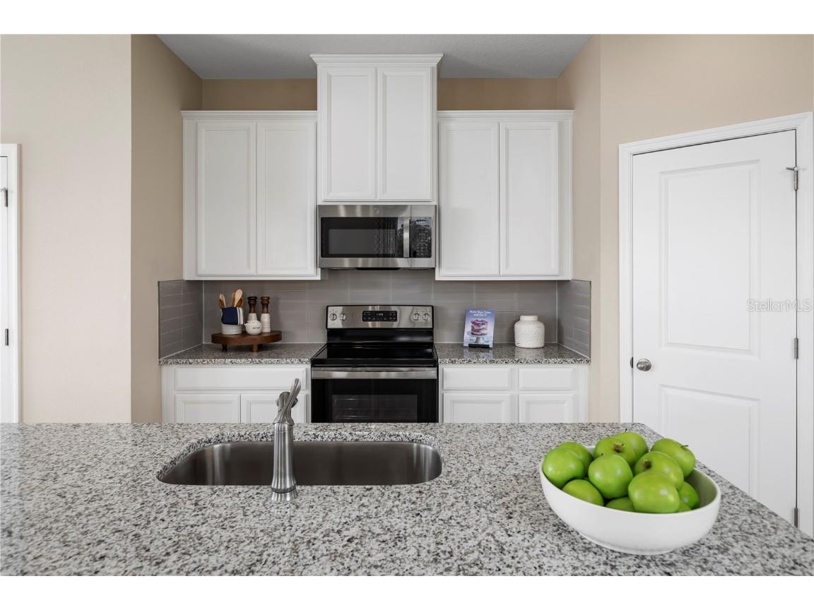 6524 Domizio Drive Winter Haven FL 33884 W7878372 image3