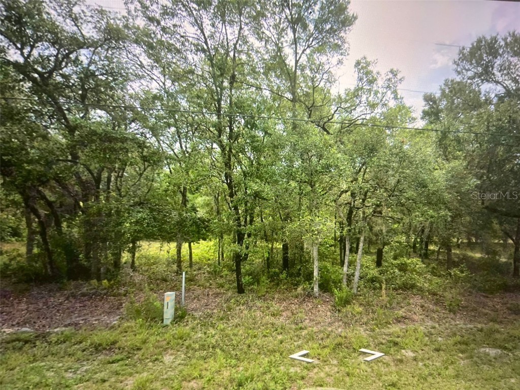 6525 N Flower Terrace Hernando FL 34442 S5108309 image1