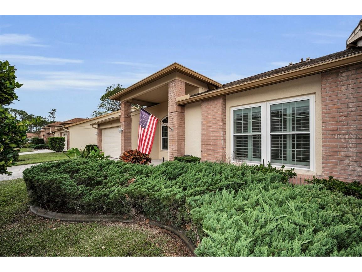 6525 Pine Walk Drive New Port Richey FL 34655 W7881532 image3