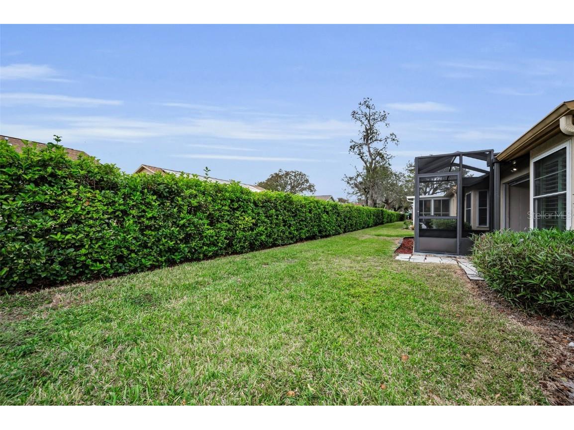 6525 Pine Walk Drive New Port Richey FL 34655 W7881532 image41