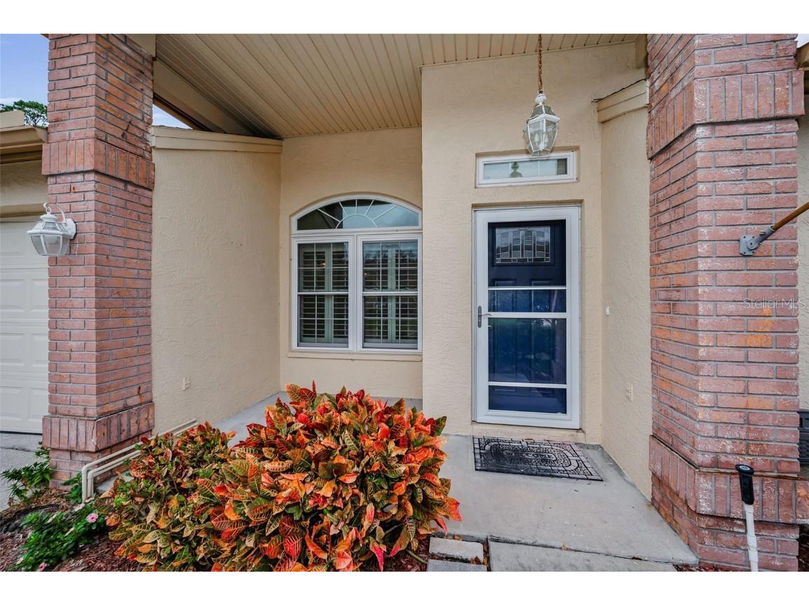 6525 Pine Walk Drive New Port Richey FL 34655 W7881532 image5