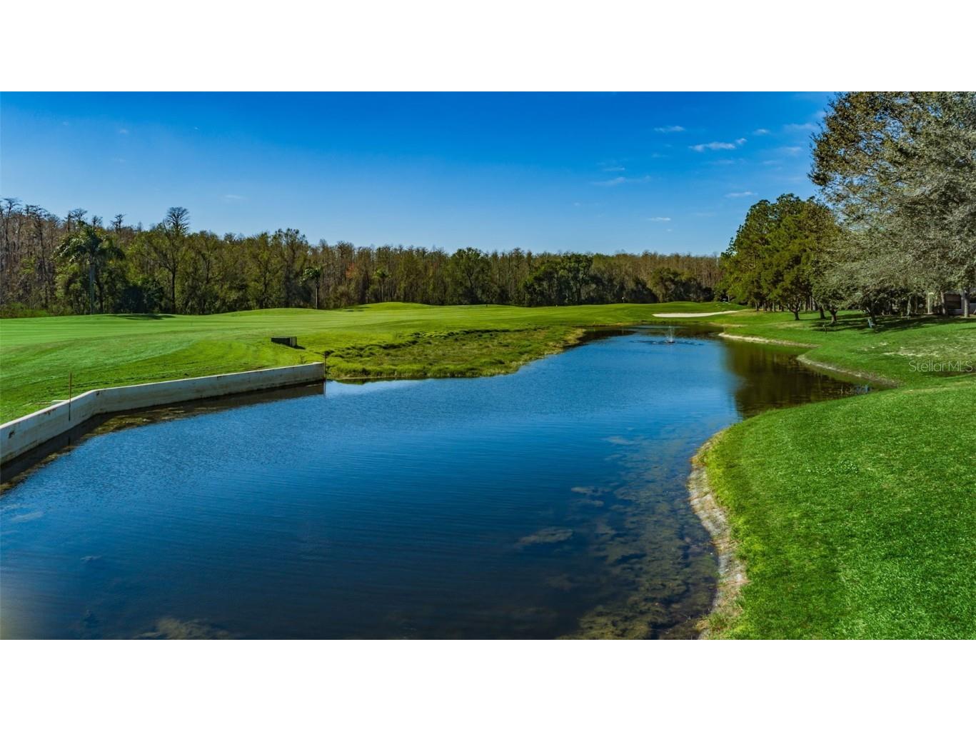 6525 Pine Walk Drive New Port Richey FL 34655 W7881532 image51