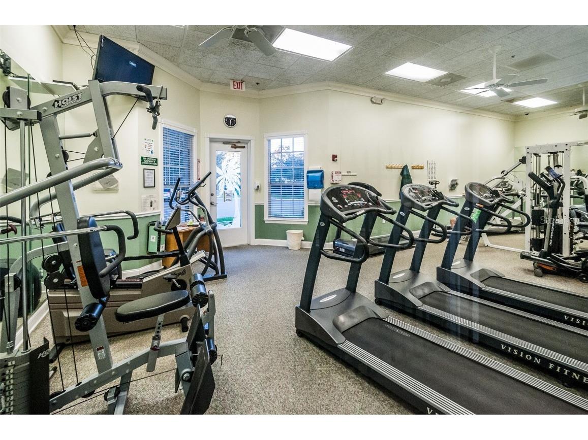 6525 Pine Walk Drive New Port Richey FL 34655 W7881532 image59