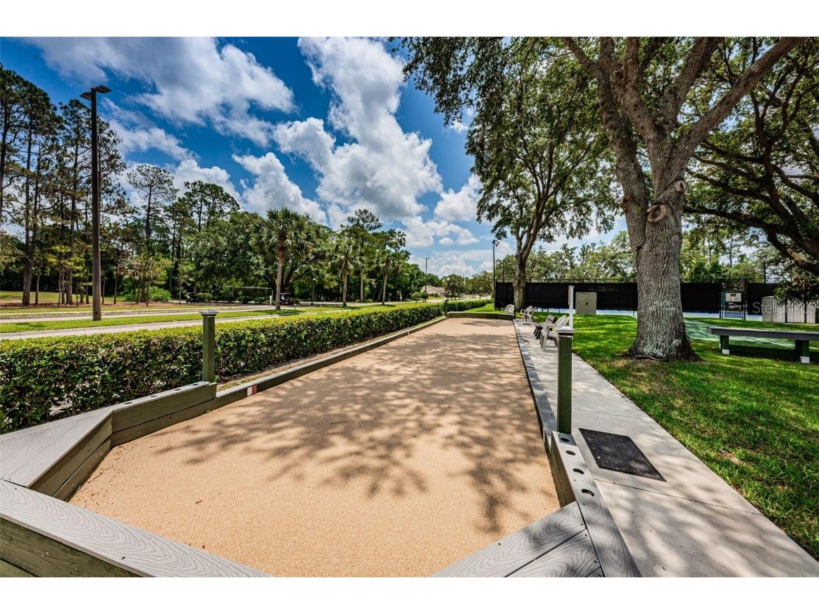 6525 Pine Walk Drive New Port Richey FL 34655 W7881532 image70