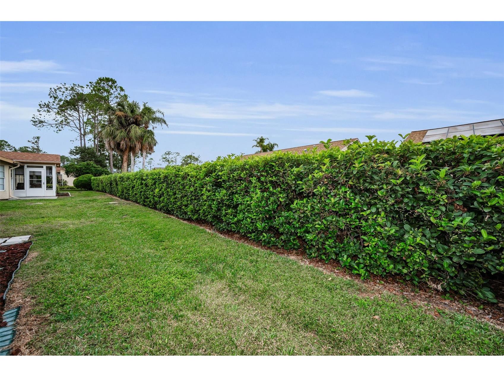 6525 Pine Walk Drive New Port Richey FL 34655 W7881805 image38