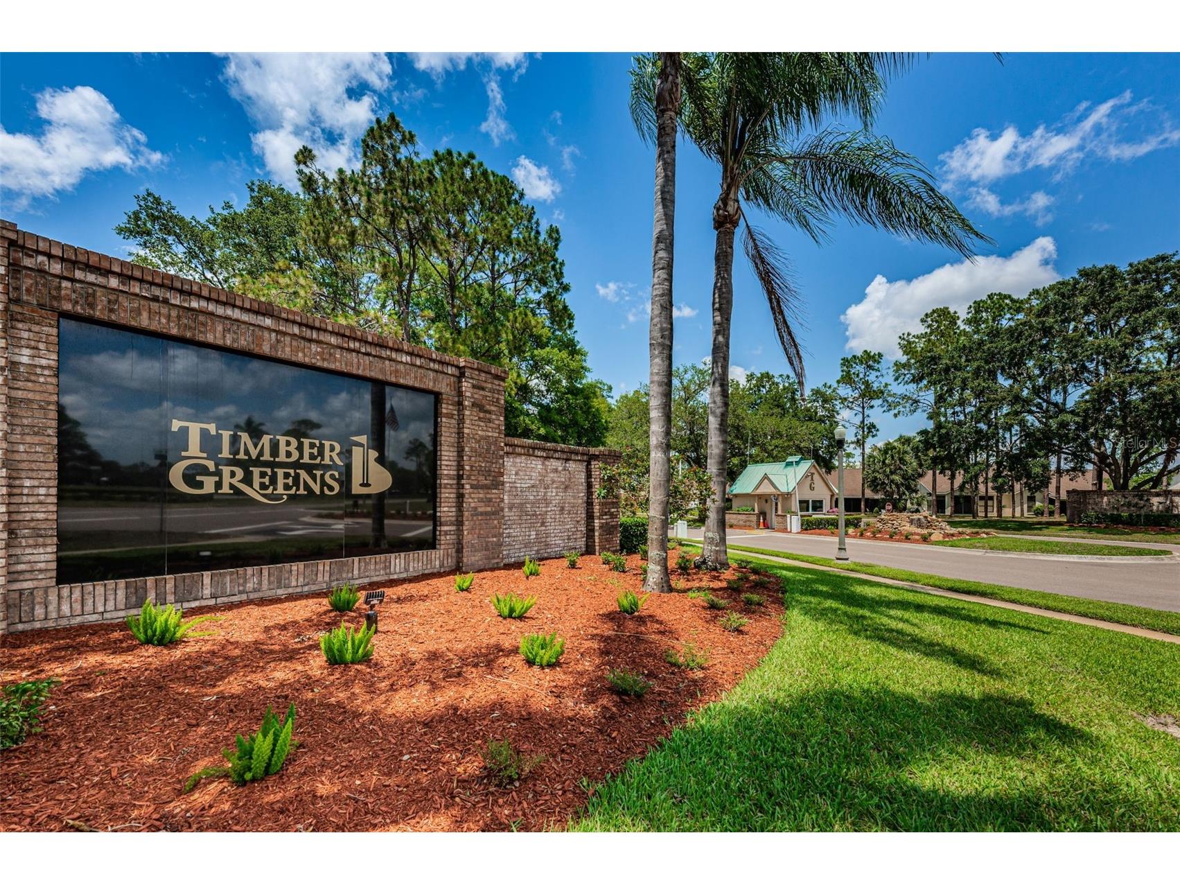 6525 Pine Walk Drive New Port Richey FL 34655 W7881805 image41