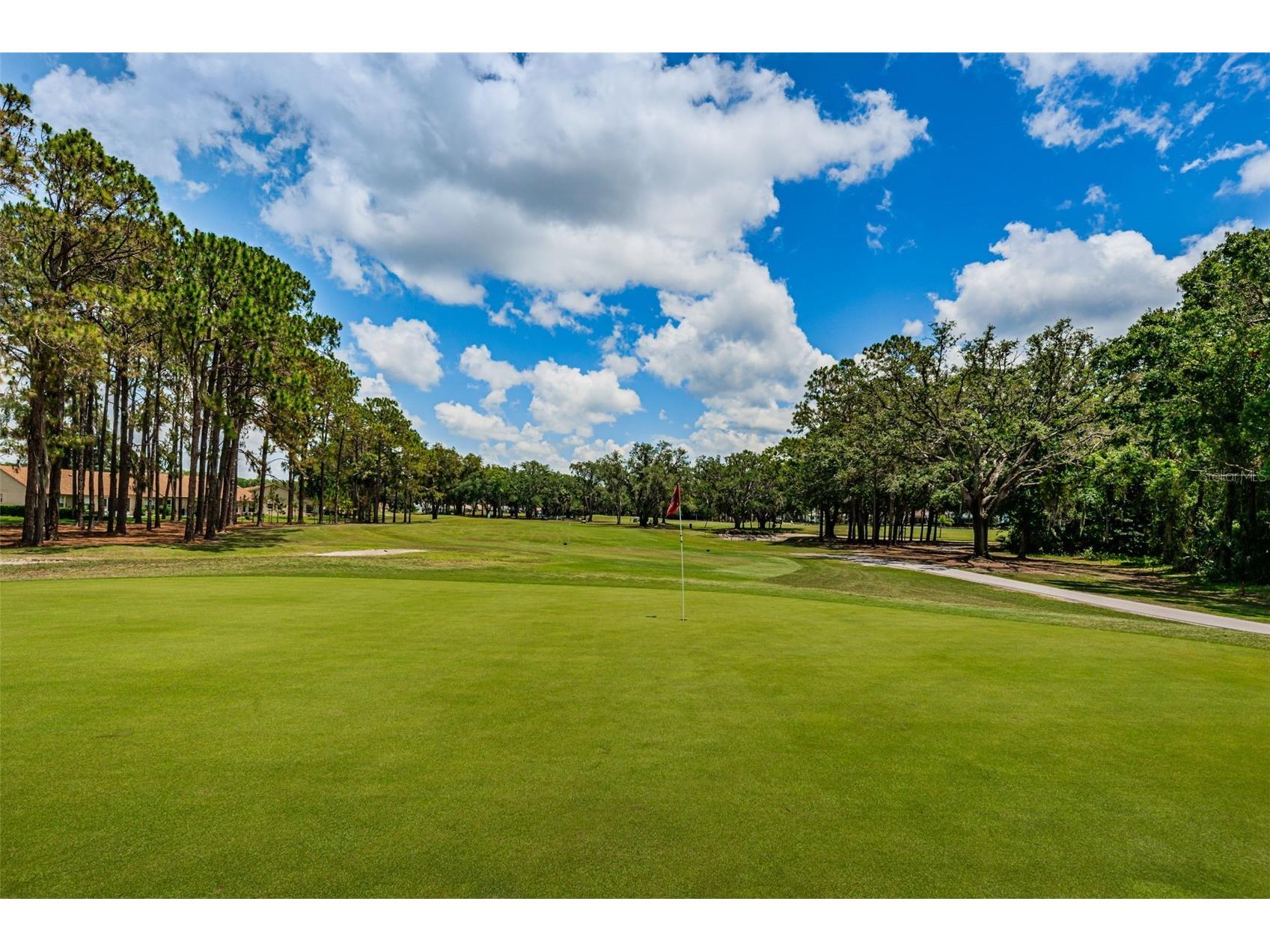 6525 Pine Walk Drive New Port Richey FL 34655 W7881805 image49