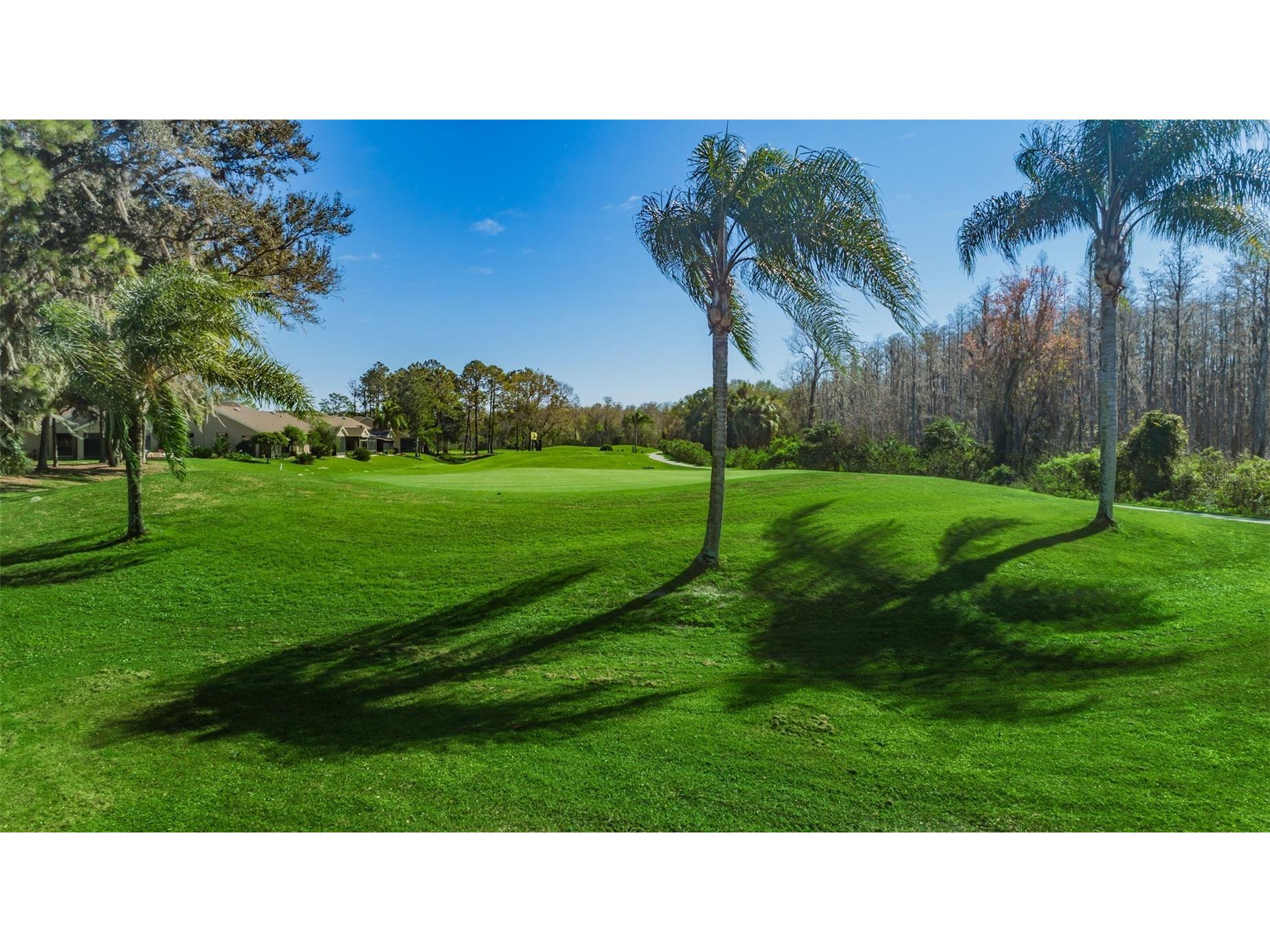 6525 Pine Walk Drive New Port Richey FL 34655 W7881805 image70