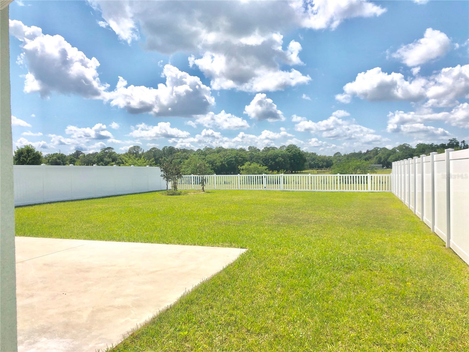 6527 Bayston Hill Place Zephyrhills FL 33541 TB8494969 image14
