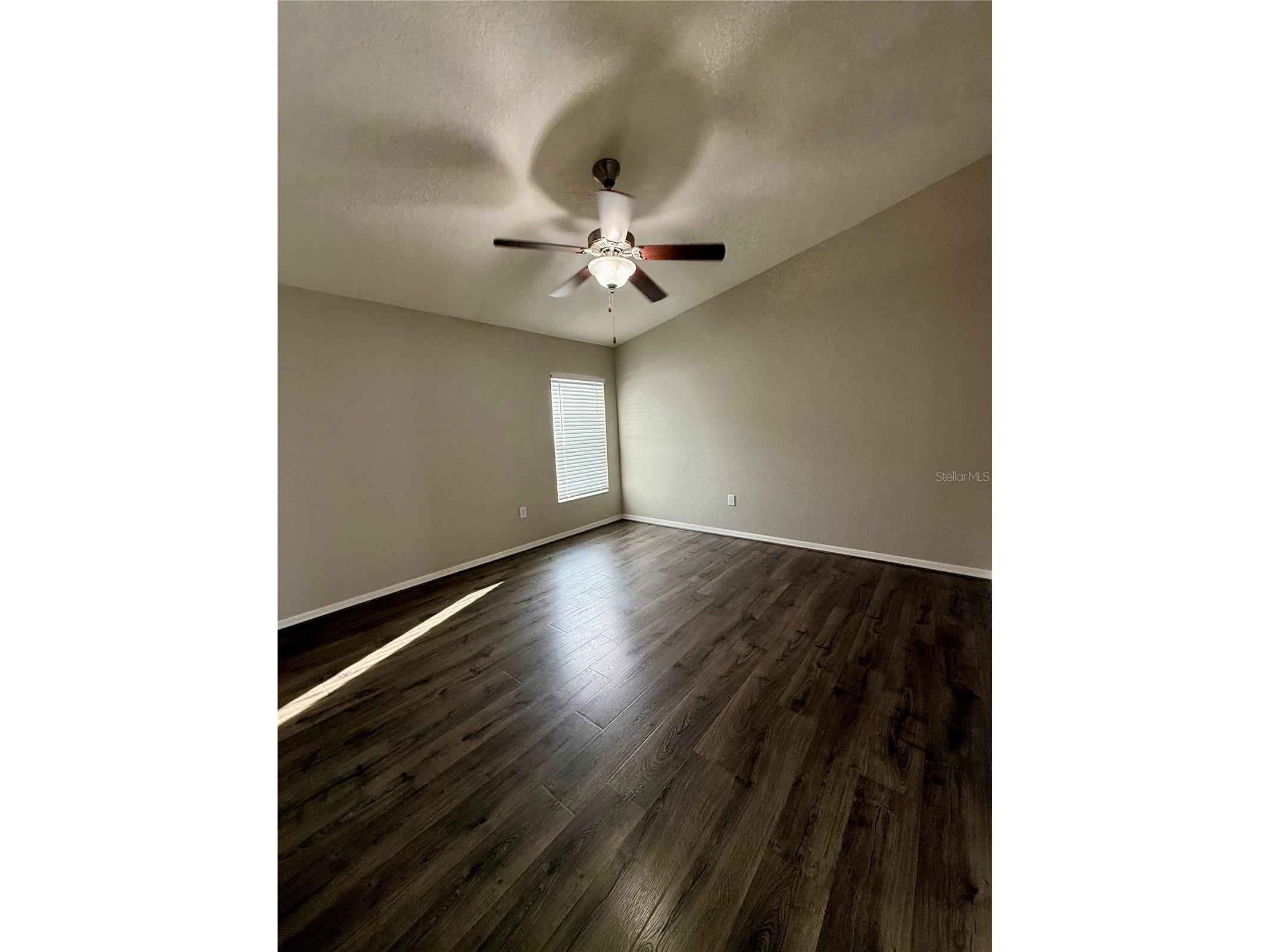 6527 Bayston Hill Place Zephyrhills FL 33541 TB8494969 image7