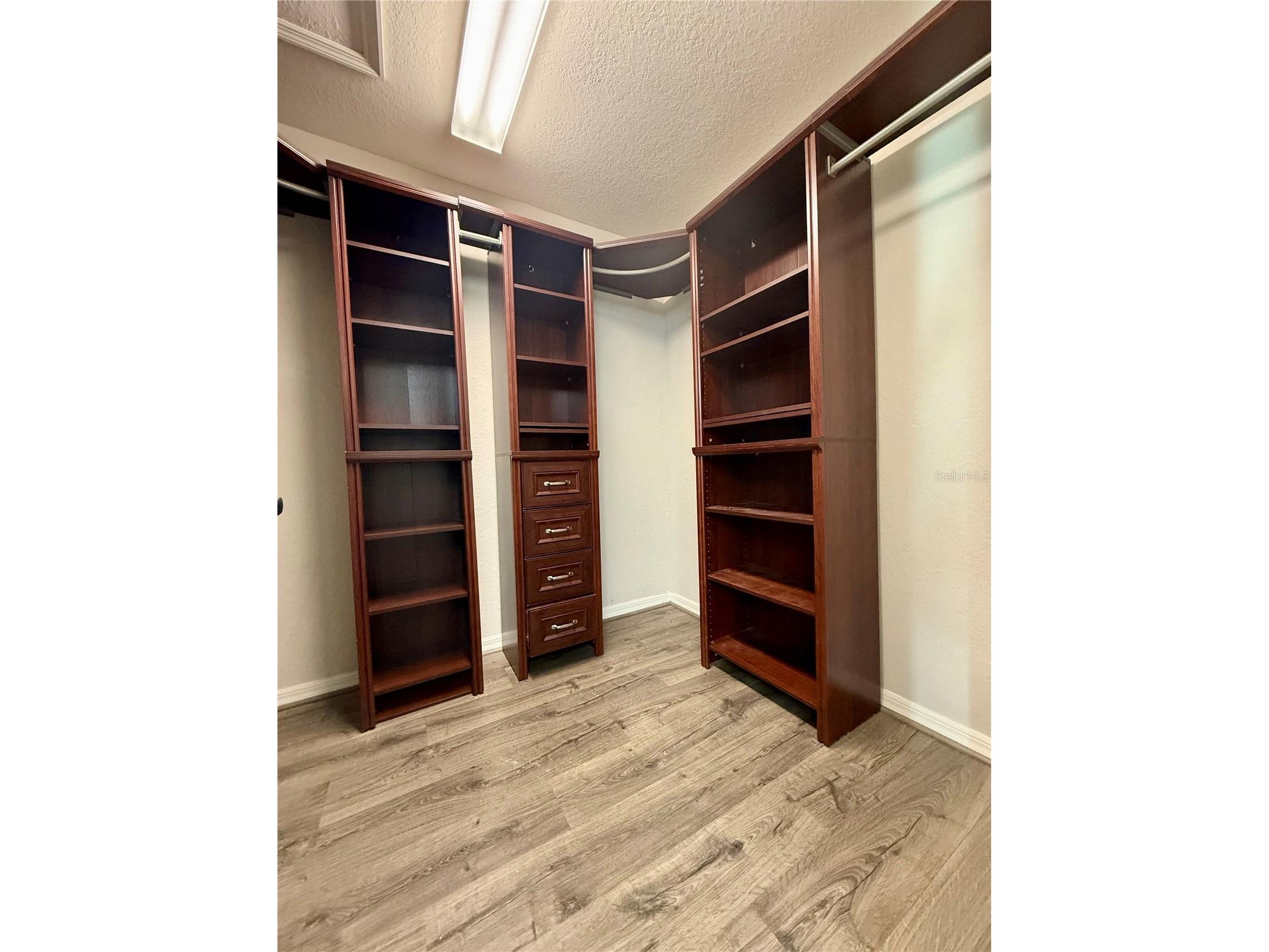 6527 Bayston Hill Place Zephyrhills FL 33541 TB8494969 image8