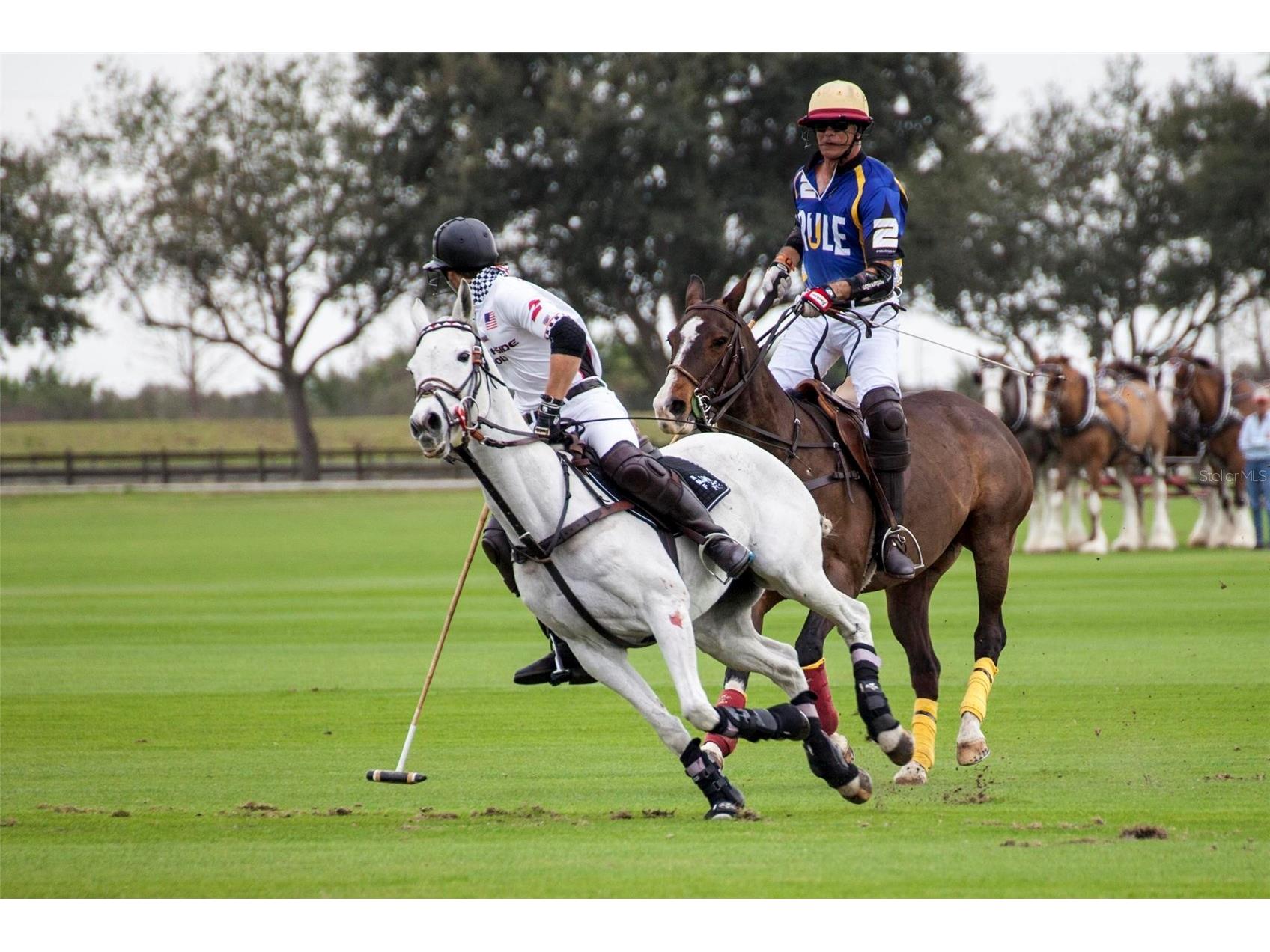 6527 Moorings Point Circle #101 Lakewood Ranch FL 34202 - LAKE UIHLEIN A4678335 image48