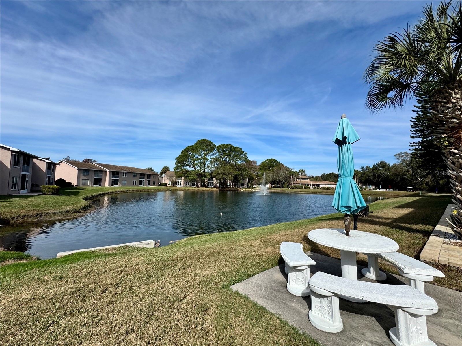 6527 Spring Flower Drive #21 New Port Richey FL 34653 W7882033 image18