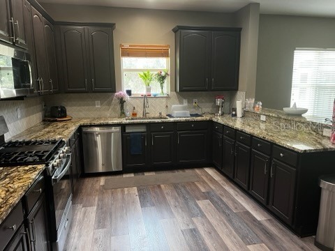 6528 Carrington Sky Drive Apollo Beach FL 33572 A4694855 image3
