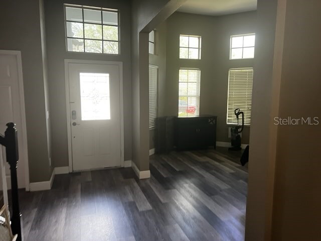 6528 Carrington Sky Drive Apollo Beach FL 33572 A4694855 image7