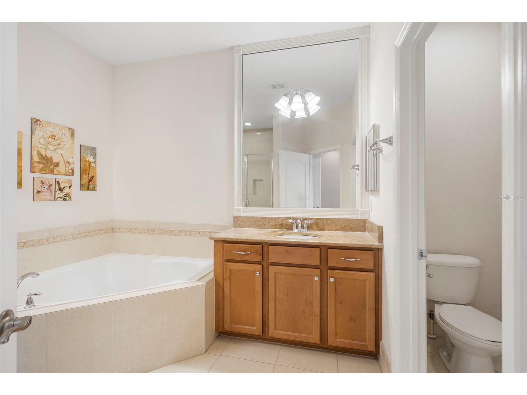 6528 Helmsley Circle Windermere FL 34786 O6408661 image18
