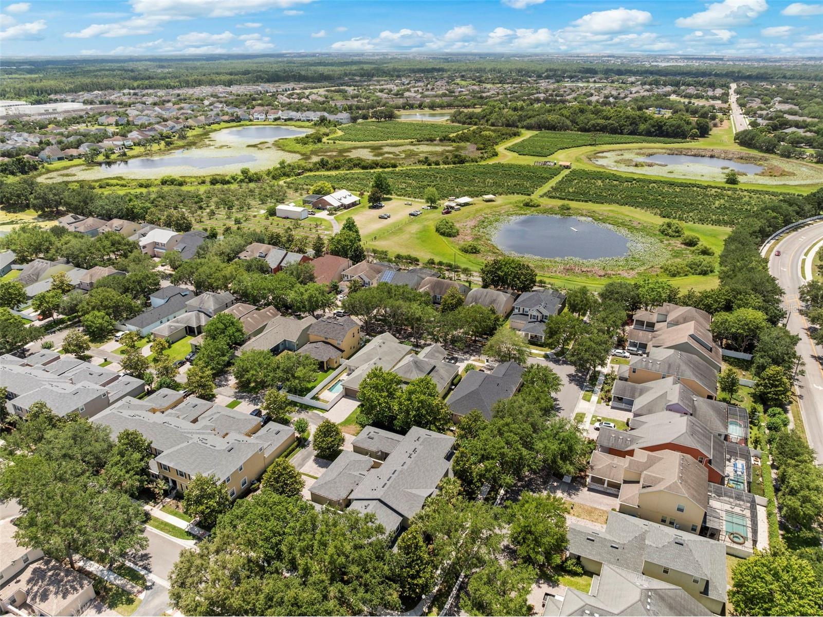 6528 Helmsley Circle Windermere FL 34786 O6408661 image39