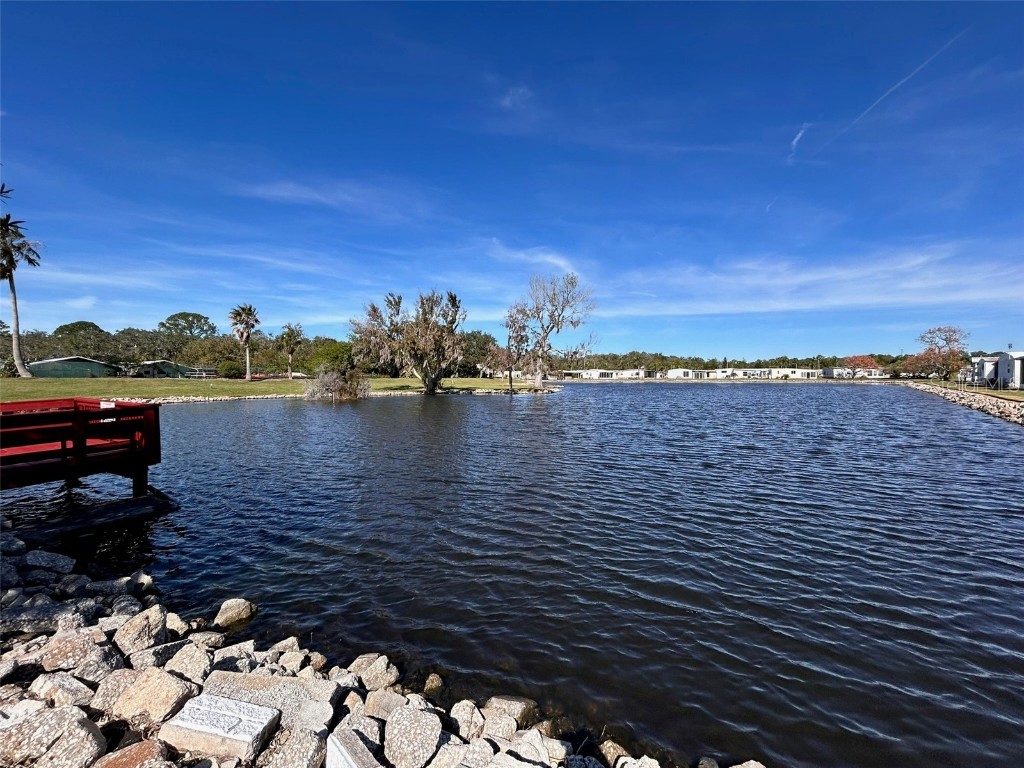 6528 Roosevelt Drive Port Richey FL 34668 O6360253 image8